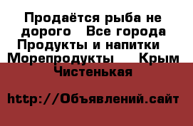 Продаётся рыба не дорого - Все города Продукты и напитки » Морепродукты   . Крым,Чистенькая